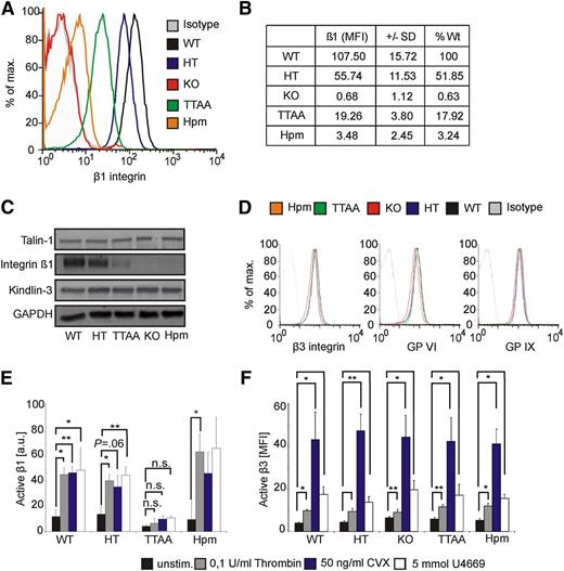 Figure 1. Characterization of platelets from β1 integrin mouse mutants. Platelet β1 integrin surface expression of wild-type (WT; β1+/+), HT (β1+/−), KO (β1−/−), TTAA (β1TTAA), and Hpm (β1Hpm) β1 integrin mice were analyzed by flow cytometry. (B) Geometric mean values of β1 integrin expression shown in panel A were corrected for isotype control and expressed as % of WT β1-integrin surface levels (n = 6 per group). (C) Platelet lysates were subjected to immunoblotting for β1-integrin, talin-1, kindlin-3, and glyceraldehyde-3-phosphate dehydrogenase (GAPDH). (D) Surface expression of β3 integrin, GPVI, and GPIX on platelets of indicated mouse strains. (E) Platelet β1 integrin activation was determined with the conformation-specific 9EG7 antibody via the use of flow cytometry upon stimulation with 50 ng/mL CVX, 0.1 U/mL thrombin, or 5 mM U46619. Acquired mean fluorescence intensity values were normalized to total β1 integrin expression levels and are shown as arbitrary unit (n = 3 for TTAA and Hpm, n = 4 for all other groups; bars represent mean values ± SEM; significance levels are indicated; *P < .05; **P < .01; n.s., not significant). (F) Active β3 integrins were determined with JON/A antibody after platelet stimulation with indicated stimuli. No significant difference between all tested groups was determined (n = 5 for HT and WT, n = 4 for all other groups; bars represent geometric mean values ± SEM).