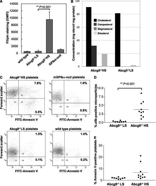 Figure 2. Sterol accumulation and increased platelet-derived microparticle (PMP) generation in sitosterolemic mouse platelets. (A) Whole blood samples were stained with phycoerythrin (PE)-conjugated anti-mouse αIIb mAb and platelet fraction was identified by αIIb positivity and forward-side scatter. Platelets from Abcg5−/− HS become large and are compared with GPIb-deficient (Bernard Soulier) platelets, which exhibit αIIb positivity in a larger forward-side scatter gate. Cells were incubated with filipin to detect sterol-laden membranes. The degree of filipin staining in those specific gates is shown (n = 6 in each group). (B) Comparison of cholesterol and plant sterol levels in platelets of Abcg5−/− HS and Abcg5−/− LS were determined as described in “Methods.” Whole blood samples were fixed with 2% paraformaldehyde and αIIb-positive platelets were isolated using anti-PE antibody-conjugated magnetic immunobeads. Sterol levels were analyzed by GC-MS. (C) Representative dot plot analyses of Annexin V–positive platelets and PMPs. Whole blood samples were double-stained with PE-anti-mouse αIIb mAb and fluorescein isothiocyanate-Annexin V. The αIIb-positive platelets were gated as in (A) and analyzed for Annexin V positivity. Note the increased number of Annexin V–positive PMPs in the blood of Abcg8−/− mice fed a high, but not in low plant sterol diet. (D-E) Statistical analyses of αIIb-positive, Annexin V–positive PMPs (D) and platelets (E) found in Abcg8−/− HS and Abcg8−/− LS blood samples (n = 8 for Abcg8−/− LS mice and n = 10 for Abcg8−/− HS mice). Though the increase in PMPs in the circulation of Abcg8−/− HS mice was significantly higher than in Abcg8−/− LS mice, the difference in Annexin V–positive platelets did not reach statistical significance.