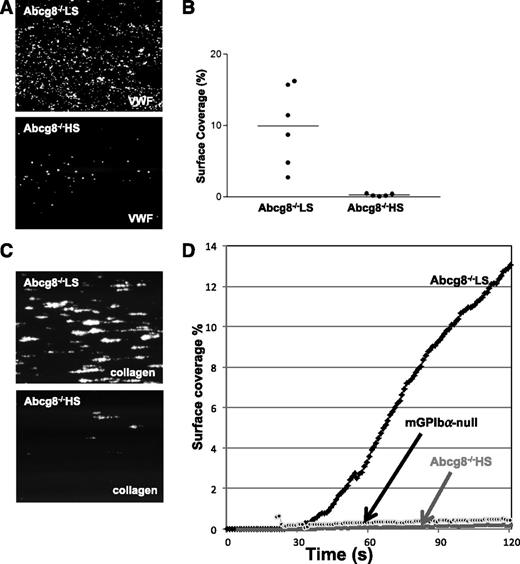 Figure 5. Impaired adhesion and thrombus formation of Abcg8−/− HS platelets. (A-B) PPACK-anticoagulated whole blood from Abcg8−/− fed a low or high sterol diet was labeled and perfused on mouse VWF immobilized surface at a shear rate of 2000 s−1. Representative images of adherent platelets (A); percent surface coverage for 11 independent experiments (n = 6 for Abcg8−/− LS and n = 5 for Abcg8−/− HS) (B). (C-D) Pooled blood samples of Abcg8−/− LS (n = 4), Abcg8−/− HS (n = 4), and mouse GPIbα-null platelets were perfused over type I collagen for 120 seconds at 2000 s−1. (C) Representative image of adhesion and thrombus formation at 120 seconds (D) quantitates the time-course of surface coverage (%) as they accumulate in the field of view. Platelet counts and hematocrit of these pooled Abcg8−/− LS, Abcg8−/− HS, and control mGPIbα-null samples were 498 × 109/L, 38.2%; 76 × 109/L, 31.3%; and 194 × 109/L, 31.3%, respectively.