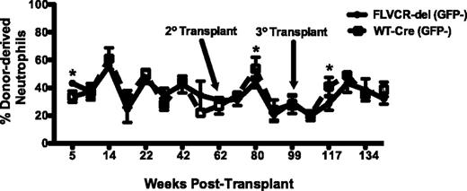 Figure 1. FLVCR deletion does not impair hematopoietic reconstitution during competitive, serial transplantation. C57Bl/6 mice were transplanted with equal numbers of FLVCR-deleted bone marrow or wild-type Cre+ bone marrow and GFP+ competitor bone marrow cells. The proportion of granulocytes arising from either FLVCR-deleted or wild-type Cre+ cells were distinguished from GFP+ competitor cells by flow cytometry. Black circles represent competitive transplantation with FLVCR-deleted donor cells. Open squares represent competitive transplantation with wild-type Cre+ donor cells. *P ≤ .05.