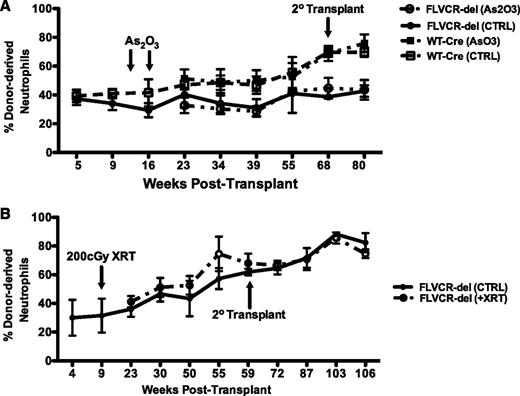 Figure 2. Loss of FLVCR is dispensable for HSC recovery from oxidative stress. (A) Twelve weeks after competitive transplantation, mice were exposed to 200 cGy of radiation, and hematopoietic recovery was assessed by flow cytometry of peripheral blood granulocytes. (B) A second cohort of transplanted animals was treated with arsenic trioxide (8 mg/kg intraperitoneally) given 12 and 16 weeks after transplant. Hematopoietic recovery was determined by flow cytometry of peripheral blood granulocytes. Open circles represent competitive transplantation with FLVCR-deleted bone marrow and treatment with arsenic trioxide or sublethal radiation. Closed circles represent competitive transplantation with FLVCR-deleted bone marrow. Black squares represent competitive transplantation with wild-type Cre+ donor cells and treatment with arsenic trioxide. Open squares represent competitive transplantation with wild-type Cre+ donor cells.