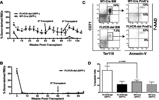 Figure 4. Erythropoiesis is severely impaired in FLVCR-deleted bone marrow with a maturation block at the proerythroblast stage. (A) Competitive repopulation assay using FLVCR-deleted or control bone marrow cells and GFP+ competitor cells. The contribution of each donor population to erythropoiesis was determined by flow cytometry of peripheral blood. (B) Competitive transplantation with 95:5 ratio of FLVCR-deleted:GFP+ bone marrow cells. Hematopoietic recovery is determined by granulocyte recovery by flow cytometry. The contribution of FLVCR-deleted cells to erythropoiesis is determined by flow cytometry. (C) Proerythroblast populations were identified by flow cytometry. (C-D) The extent of apoptosis was determined by staining with 7-AAD and Annexin V. Bone marrow was harvested 24 weeks after transplant.