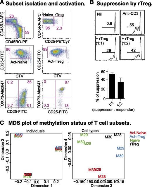Figure 1. CD4+ T-cell subsets: phenotype, function, and DNA methylation. (A) Naive and rTreg from male blood donors were sorted (top panel) and activated with soluble anti-CD3 and -28 antibodies (100 and 200 ng/mL, respectively) and autologous irradiated CD4+ cell-depleted peripheral blood mononuclear cells for 4 days, supplemented with 20 U/mL IL-2 for an additional 2 days. Act-Naive and Act-rTreg were sorted as proliferating CTVdim CD25+ cells (middle panel). FOXP3 expression was examined by intracellular staining (bottom panel). (B) Sorted CTVdim CD25+ cells were incubated with Naive CD4+ T cells (5 × 104) at 1:1, 1:2, 1:4, 1:8, and 1:16 ratios with anti-CD3 antibody (100 ng/mL), with or without IL-2 (20 U/mL) for 5 days. (C) Multidimensional scaling (MDS) analysis of the normalized, filtered data. The MDS plot is analogous to a principal components analysis plot. The axes represent the major sources of variation in the data based on the top 1000 genes with the largest standard deviations between samples; dimension 1 represents the largest source of variation, dimension 2 represents the next largest orthogonal source of variation, followed by dimension 3, etc. The left-hand MDS plot shows that the largest source of variation between samples was the difference in baseline methylation between the donors. Examination of further sources of variation reveals that methylation differences between cell types and activation status are also present, as shown in the right-hand MDS plot. Each sample is labeled with the donor ID and colored by cell type.
