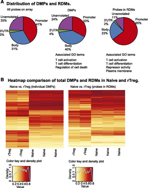 Figure 2. Differential DNA methylation between Naive and rTreg. (A) Functional annotations of the 450k array probes (left panel), 2315 DMPs between Naive and rTreg cells (middle panel), and probes associated with 127 RDMs between Naive and rTreg (right panel). (B) Unsupervised hierarchical clustering of the β values of both the significant DMPs (left panel) and RDM probes (right panel) resulted in distinct groupings of the Naive and rTreg samples. Each horizontal row in the heat map represents a CpG probe and each vertical column is a sample. The color indicates the level of methylation at each CpG in each sample, as described by the color key.