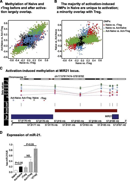 Figure 3. Activation-induced changes in DNA methylation profiles. (A) Act-Naive and Act-rTreg displayed significant differences in 1679 CpG probes (green cross), the majority of which overlapped with the differences found between these 2 T-cell subsets before activation (red circle). The distinct DNA methylation profiles between Naive and rTreg are largely unaffected by activation. (B) Activation-induced methylation changes in 466 CpGs in Naive CD4+T cells (blue dots). Of these, 171 overlapped with the methylation patterns of rTreg and 283 were unique to activation. (C) Activation-induced demethylation at the MIR21 locus. (D) Expression of miR-21 in Naive and Treg before and after activation. Data are represented as mean ± standard error of the mean of 3 donors. *P = .05 (Mann–Whitney test, 1-tailed).