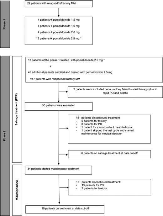 Figure 1. Flow diagram.