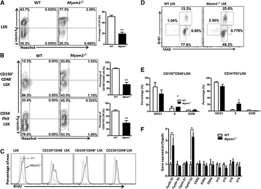 Figure 2. Loss of Mysm1 drives HSC from quiescence to rapid proliferation. (A-B) Quiescence of HSC was evaluated with Hoechst 33258/Pyronin Y staining in the BM of WT and Mysm1−/− mice. WT or Mysm1−/− BM cells were stained for HSC surface antigens followed by Hoechst 33258/Pyronin Y staining. Representative FACS plots (left) of cells depicting G0 (bottom left quadrant), G1 (top left quadrant), and S/G2/M (top right quadrant) in (A) LSK cells, and (B) LSK subsets. Bar graph (right) shows the percentage of cells in G0 phase for each individual subpopulation. (C) WT, Mysm1−/− mice received 2 mg of BrdU intraperitoneally daily for 5 days. Incorporation of BrdU was analyzed by FACS in BM LSK and its subsets. (D) FACS plots of cell cycle kinetics of WT and Mysm1−/− LSK cells. (E) Cell-cycle analysis in CD150+CD48−LSK and CD34−Flt3−LSK cells. (F) Real-time PCR analysis of cyclins, cyclin-dependent kinases (Cdks), and Cdk inhibitors in LSK cells. The Ct values are normalized to glyceraldehydes-3-phosphate dehydrogenase and are presented relative to WT (value set as 1). (A-F) Data are representative of three independent experiments. *P < .05; **P < .01.
