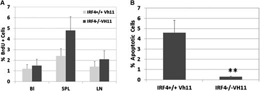 Figure 3. IRF4−/−Vh11 CLL cells proliferate mainly in spleen and are resistant to apoptosis. (A) To characterize the proliferation of IRF4−/−Vh11 CLL cells in vivo, we pulse-labeled the mice with BrdU. Twelve hours later, cells were isolated from blood, spleen, and lymph node and stained with antibodies against CD5, IgM, and BrdU. The BrdU-positive cells were revealed by FACS analysis. (B) Splenocytes were isolated from IRF4−/−Vh11 and IRF4+/+Vh11 mice and stained with CD5 and IgM. The apoptotic cells were detected by TUNEL assay. Values are averages and SDs of 3 independent experiments. *P < .01.