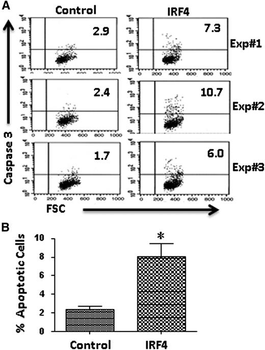 Figure 6. Reconstitution of IRF4 expression inhibits the survival of IRF4−/−Vh11 CLL cells. (A) CLL cells were isolated from spleen of IRF4−/−Vh11mice and plated on top of S17 stromal cells in RPMI 1640 media containing 10% fetal bovine serum. IRF4-expressing vector and control vector were transfected into cultivated CLL cells using a Nucleofector. Forty-eight hours later, the apoptotic cells in successfully transfected CLL cells (GFP+) were analyzed with a kit detecting activated Caspase 3 (BD Pharmingen). FSC, forward scatter. The results of 3 independent experiments were shown. (B) Averages and SDs of 3 independent experiments. *P < .02.