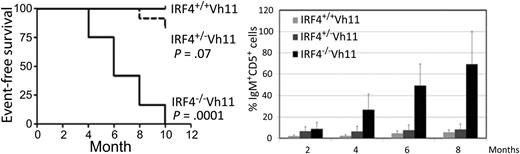 Spontaneous CLL development in IRF4−/−Vh11 mice. See Figure 1 in the article by Shukla et al that begins on page 2848.