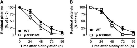 Platelet life span is reduced in VWD2B mice with respect to WT-mVWF–expressing mice. Mice expressing WT-mVWF (A-B, closed circles), p.V1316M-mVWF (A, open circles), or p.R1306Q-mVWF (B, open squares) were infused with NHS-biotin, which allows platelet biotinylation. Residual biotinylated platelets were quantified by flow cytometry. Data are expressed as the percentage of biotinylated platelets relative to the total CD41-positive platelet population with t = 0 being arbitrarily set at 100%. Data represent mean ± standard deviation. N = 3 to 13 mice. See Figure 7 in the article by Casari et al that begins on page 2893.