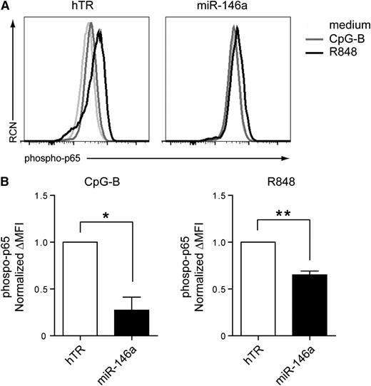 Figure 2. Overexpression of miR-146a in CAL-1 cells blocks TLR-induced NF-κB activation. (A) Flow cytometric analysis of phospho-p65 levels after intracellular staining of CAL-1 cells. CAL-1 cells were transduced with miRNA-146a or with control hTR-expressing vectors, which also drive expression of the marker GFP. Levels of phosphorylation of the NF-κB subunit p65 were measured in GFP-sorted transduced cells after activation for 15 minutes with 10 μg/mL CpG-B (dark gray line), 10 μg/mL R848 (black line), or medium as control (light gray line). RCN, relative cell number. (B) Statistical analysis of phospo-p65 levels was assessed by plotting the difference in mean fluorescence intensity (ΔMFI) between activated cells and medium-cultured cells of 4 different experiments. Data are normalized to phospho-p65 levels in activated hTR-transduced cells, which was set to 1. *P = .014; **P = .004.