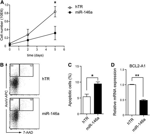 Figure 3. MiR-146a overexpression induces apoptosis of CAL-1 cells. (A) CAL-1 cells were transduced with hTR control RNA (open symbols) or miR-146a (closed symbols) and cultured in medium. GFP expression was determined at the indicated days by flow cytometry. Shown are the absolute numbers of GFP+ CAL-1 cells. (B) GFP+ cells were sorted and cultured for 2 days. Cells were stained with Annexin V and 7-AAD to assess for apoptosis. Numbers in the dot plots represent percentages of cells that fall within the indicated gates. (C) The percentages of apoptotic cells were determined as in panel B. Shown are mean percentages ± SD of 3 independent experiments (*P < .05). (D) QPCR analysis of BCL2-A1 mRNA levels in CAL-1 cells transduced with hTR control or with miR-146a. Expression levels in hTR-transduced CAL-1 cells were set to 1. Shown are mean values ± SD of an analysis of QPCR done in triplicate. This is a representative experiment of 4. **P < .01.