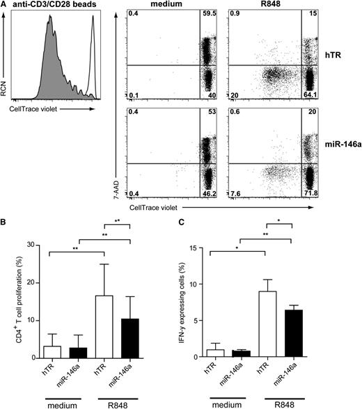 Figure 5. MiR-146a inhibits CD4+ T-cell proliferation induced by TLR7-preactivated CAL-1 cells. (A) Flow cytometric analysis of T-cell proliferation induced by CAL-1 cells transduced with hTR control RNA or with miR-146a–expressing vectors that were preactivated for 48 hours with or without TLR7 agonist R848 (10 μg/mL). Preactivated CAL-1 cells were cocultured together with freshly isolated allogeneic CD4+ T cells (ratio CAL-1:CD4+ T cells = 1:1) after labeling with the CellTrace Violet membrane dye. After 6 days, T cells were analyzed for expression of CellTrace Violet and 7-AAD in CD3+ T cells. Percentages of CellTrace-Violetlo7-AAD−CD3+ cells represent T cells that proliferated and are alive (lower left quadrant). CD4+ T cells activated with anti-CD3/CD28 beads are shown as a positive control for proliferation (gray histogram) as compared with CD4+ T cells cultured only with medium (white histogram). Shown is 1 representative experiment of 3. Numbers in plots represent percentages of cells that fall within the indicated quadrant. (B) Cells were analyzed as in panel A. Statistical analysis of CD4+ T-cell proliferation of 3 independent experiments. Only the mean percentages ± SD of CellTrace-Violetlo7-AAD−CD3+ T cells are depicted. *P < .05. (C) After 6 days of coculture, CD4+ T cells were restimulated with PMA/ionomycin for 6 hours in the presence of Brefeldin A and analyzed by flow cytometry for IFN-γ expression. Shown are the mean percentages of IFN-γ+ T cells of 1 representative of 3 independent experiments. Error bars indicate SD values of measurements done in triplicate.