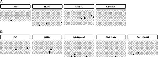 Figure 2. Bisulfite analysis of proximal Runx1 promoter. (A) Methylation patterns of the Runx1 P2 promoter in cells derived from E14.5 MEFs, E8.5 YS CD41+ (E8.5 YS), E14.5 FL Lin-Sca-1+CD48−CD150+ (E14.5 FL), and adult marrow Lin-c-Kit+Sca-1+CD150+CD48− (KLS + SLAM). Sequencing reactions of individual amplicons are represented by each row of circles. Open circles denote unmethylated CpGs, and solid circles represent methylated CpGs. (B) Methylation patterns in mESCs, day 6 EB c-Kit+CD41+ (D6 EB), and from OP9 cocultures: GFP+c-Kit+CD45+ cells isolated from IRES-GFP control group at day 6 (D6 + 6 control) and HOXB4-IRES-GFP group at day 6 (D6 + 6 HoxB4) and day 11 (D6 + 11 HoxB4).