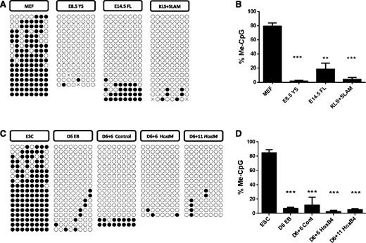 Figure 3. Bisulfite analysis of +23 enhancer methylation. (A) Methylation patterns of the Runx1 +23 enhancer in cells from in vivo–derived E14.5 MEFs, E8.5 YS CD41+ (E8.5 YS), E14.5 FL Lin-Sca-1+CD48−CD150+ (E14.5 FL), and adult marrow Lin-c-Kit+Sca-1+CD150+CD48− (KLS + SLAM). Sequencing reactions of individual amplicons are represented by each row of circles. Open circles denote unmethylated CpGs, and solid circles represent methylated CpGs. (B) Quantification of percent CpG methylation at +23 in hematopoietic populations derived in vivo. ***P < .001; **P < .01. (C) Methylation patterns in mESC day 6 EB c-Kit+CD41+ (D6 EB) and from OP9 cocultures: GFP+c-Kit+CD45+ cells isolated from IRES-GFP control group at day 6 (D6 + 6 control) and HOXB4-IRES-GFP group at day 6 (D6 + 6 HoxB4) and day 11 (D6 + 11 HoxB4). (D) Quantification of percent CpG methylation at +23 in cell populations isolated during hematopoietic differentiation of mESCs. ***P < .001.