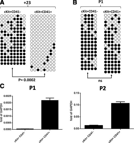 Figure 4. Bisulfite analysis and Runx1 expression in day 6 EB subpopulations. (A) Methylation patterns of the Runx1 +23 enhancer in c-Kit+CD41− and c-Kit+CD41+ cells from day 6 EBs. Sequencing reactions of individual amplicons are represented by each row of circles. Open circles denote unmethylated CpGs, and filled circles represent methylated CpGs. (B) Methylation patterns of the Runx1 P1 promoter in c-Kit+CD41− and c-Kit+CD41+ cells from day 6 EBs. (C) Quantitative reverse transcriptase polymerase chain reaction analysis of Runx1 P1 and P2 mRNA isoforms in c-Kit+CD41− and c-Kit+CD41+ cells from day 6 EBs. ns, not significant.