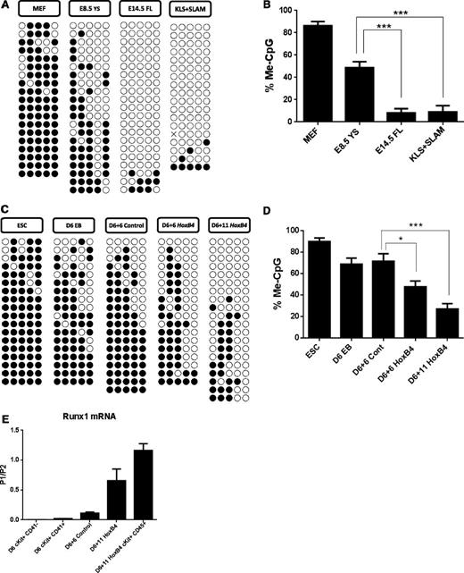 Figure 5. Bisulfite analysis and mRNA expression from Runx1 P1 promoter. (A) Methylation patterns of the Runx1 P1 promoter in cells from in vivo–derived E14.5 MEFs, E8.5 YS CD41+ (E8.5 YS), E14.5 FL Lin-Sca-1+CD48−CD150+ (E14.5 FL), and adult marrow Lin-c-Kit+Sca-1+CD150+CD48− (KLS + SLAM). Sequencing reactions of individual amplicons are represented by each row of circles. Open circles denote unmethylated CpGs, and solid circles represent methylated CpGs. (B) Quantification of percent CpG methylation at P1 in hematopoietic populations derived in vivo. ***P < .001. (C) Methylation patterns in mESCs, day 6 EB c-Kit+CD41+ (D6 EB) and from OP9 cocultures: GFP+c-Kit+CD45+ cells isolated from IRES-GFP control group at day 6 (D6 + 6 control) and HOXB4-IRES-GFP group at day 6 (D6 + 6 HoxB4) and day 11 (D6 + 11 HoxB4). (D) Quantification of percent CpG methylation at P1 in cell populations isolated during hematopoietic differentiation of mESCs. ***P < .001; *P < .05. (E) P1/P2 mRNA levels after normalization to Gapdh over the course of hematopoietic differentiation in vitro.