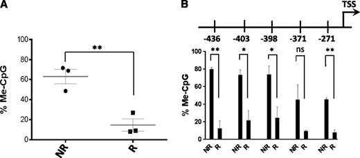 Figure 7. Comparison of P1 methylation in repopulating and non-repopulating cell types. (A) Percent CpG methylation at P1 promoter in repopulating (R) and non-repopulating (NR) cell populations. Bar indicates the mean. **P < .01 (unpaired Student t test). (B) Percent methylation at individual CpGs within P1 promoter in repopulating and non-repopulating cell populations. Bar indicates the mean. **P < .01; *P < .05 (unpaired Student t test). ns, not significant.