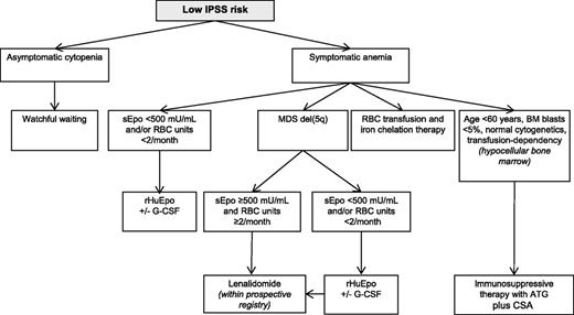 Figure 1. Therapeutic algorithm for adult patients with primary MDS and low IPSS score. BM, bone marrow; sEpo, serum erythropoietin.