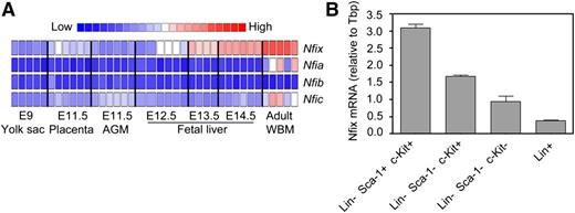 Figure 1. Nfix is expressed by HSPCs. (A) Heat map displaying relative transcript levels of Nfi gene family members in HSPCs throughout mouse ontogeny, as reported by the searchable online resource found at http://daleystem.hms.harvard.edu/. E, embryonic time-point; AGM, aorta-gonads-mesonephros. (B) Lineage−Sca-1+c-Kit+ , Lineage−Sca-1−c-Kit+, Lineage−Sca-1−c-Kit−, and Lineage+ cells were isolated from WBM by FACS and analyzed via qRT-PCR for Nfix expression relative to Tbp expression. Data represent mean ± standard deviation from 2 independent experiments.