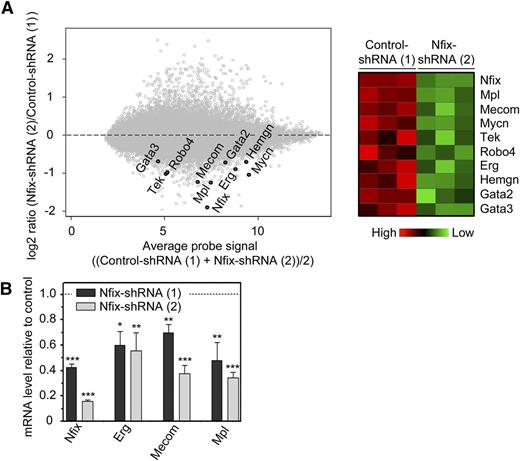 Figure 3. Loss of Nfix leads to the downregulation of known regulators of the survival of HSPCs. (A) mCherry+ LSK cells were recovered via FACS from LSK cells transduced with either control- or Nfix-shRNA and cultured for 7 days ex vivo in serum-free medium supplemented with hematopoietic cytokines. The global transcriptional profiles of these cells were then acquired using Affymetrix gene chip technology. Data represent 1 experiment with 3 independent samples of each type. (B) Cells as in (A) were analyzed by qRT-PCR for mRNA expression. Data represent mean ± standard deviation from 2 independent experiments. P values were considered statistically significant when *P < .05, **P < .01, and ***P < .001.