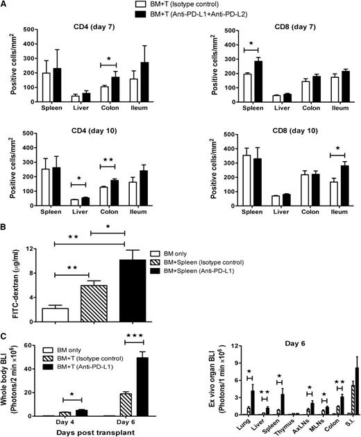 Figure 4. Blockade of PD-1/PD-1 ligand interactions induced preferential tissue damage by donor T-cells. (A) Lethally irradiated B10.BR recipients were given 107 B6 BM cells with 2 × 106 B6 T-cells and treated with isotype-matched control antibody or anti-PD-L1 and anti-PD-L2 mAbs. Immunohistochemistry staining for CD4 (clone RM4-5) and CD8 (clone 53-6.7) T-cells on day 7 and day 10 after BMT. Cell numbers in spleen, liver, colon, and ileum are shown. Cells were quantified by counting the number of antibody-binding-positive cells in a 100 mm2 field of view under the microscope and obtaining an average of counts from 4 representative fields (n = 4 mice/group). (B) Lethally irradiated B10.BR recipients were given 107 B6 BM cells alone or with 10 × 106 B6 splenocytes and treated with isotype-matched control antibody or anti-PD-L1 mAb. Plasma FITC-dextran concentration was measured on day 7 after BMT (n = 5 mice/group). (C) Lethally irradiated BALB/c recipients were given 107 B6 BM cells alone or with 1.5 × 106 B6 luciferase transgenic T-cells and treated with isotype-matched control antibody or anti-PD-L1 mAb. On day 4 and day 6 after BMT, mice were injected intraperitoneally with luciferin, and after 5 minutes, mice were imaged using a Xenogen IVIS imaging system for 2 minutes (n = 7–9 mice/group). On day 6 after BMT, mice were killed, and isolated organs were imaged for 1 minute in the presence of luciferin (n = 7 mice/group). (A−C) Data are representative of 2 independent experiments. *P < .05; **P < .01; ***P < .001.