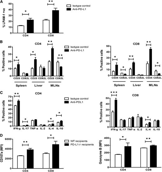 Figure 6. GVHD acceleration induced by PD-1/PD-1 ligand blockade resulted in increased activation and effector function of donor T-cells. (A-C) Lethally irradiated B10.BR recipients were given 107 B6 BM cells with 5 × 106 B6 splenocytes and treated with isotype-matched control antibody or anti-PD-L1 mAb. (A) Mice were killed on day 7 after BMT, and splenocytes (n = 5 mice/group) were analyzed by flow cytometry for LPAM-1 (α4β7) expression on donor CD4 and CD8 T-cells. (B) Common activation markers (CD25 and CD62L) on donor CD4 and CD8 T-cells were analyzed on day 7 (n = 4–5 mice/group) by flow cytometry. (C) Intracellular cytokine staining was performed on day 7 (n = 5 mice/group) and analyzed by flow cytometry to detect the percentage of donor CD4 and CD8 T-cells producing IFN-γ, IL-17, TNF-α, IL-2, IL-4, and IL-10 in spleen. (D) Lethally irradiated wt B6 recipients or PD-L1−/− recipients were given 107 BALB/c BM cells with 5 × 106 BALB/c splenocytes. Mice were killed on day 7 after BMT (n = 5 mice/group), and splenocytes were analyzed by flow cytometry for intracellular expression of CD107a or granzyme B on donor CD4 and CD8 T-cells. Data are presented as mean fluorescence intensity (MFI). (A−D) Data are representative of 2 independent experiments. *P < .05; **P < .01; ***P < .001.