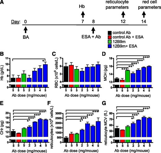 Figure 3. Treatment with 12B9m led to more effective red cell hemoglobinization and aided in reticulocyte production. (A) Experimental scheme detailing administration time of intraperitoneal BA (3 × 108 particles per mouse), intravenous Ab at doses stated, and intravenous ESA (300 µg/kg Epoetin alfa) in Hep1 mice. Hb was monitored on day 7 and used to assign mice to groups as in Figure 2. Hb (B), RBC number (C), and mean corpuscular Hb (MCH) (D) were measured from 1 study on day 14 (n = 4-5 mice per group). Reticulocyte mean corpuscular Hb (CHr) (E), reticulocyte number (F), and reticulocyte mean corpuscular volume (MCV) (G) were measured from an analogous study on day 12 (n = 4-5 mice per group). Statistical comparisons against control Ab group are shown (1-way ANOVA with Dunnett’s post hoc test). *P < .05; **P < .01; ***P < .001. All results are shown as mean ± SEM.