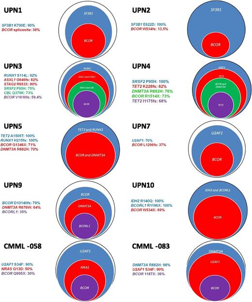 Figure 2. Repartition of BCOR and other mutations by targeted deep resequencing. For each gene, the percentage is representing the estimated number of cells carrying the unique mutation. All UPN are MDS cases.