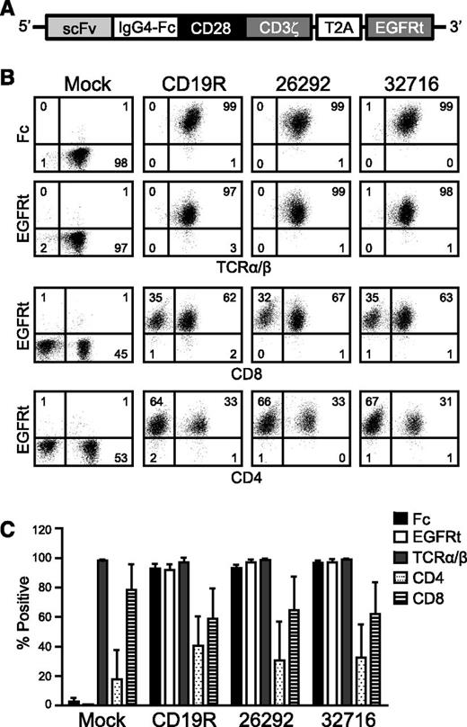 Figure 1. CD123-specific CARs can be expressed in healthy donor human T cells. (A) Schematic diagram of the CAR containing a modified immunoglobulin G4 hinge, a modified transmembrane and intracellular signaling domain of CD28, and the CD3ζ signaling domain. The T2A ribosomal skip sequence and the EGFRt transduction marker are also indicated. (B) Representative phenotype of mock- and lenti-transduced T cells derived from a single healthy donor. After immunomagnetic selection and 1 cycle of expansion, CAR-modified T cells were stained with biotinylated anti-Fc or biotinylated anti-cetuximab followed by phycoerythrin-conjugated streptavidin and anti-TCRα/β, anti-CD4, or anti-CD8 and analyzed by flow cytometry. Quadrant placement is based on staining with isotype controls, and the percentage of cells falling in each quadrant is indicated. (C) Expression of indicated cell surface markers from 3 different healthy donor T-cell lines following immunomagnetic selection and 1 cycle of expansion. Data represent mean values ± standard error of the mean (SEM).