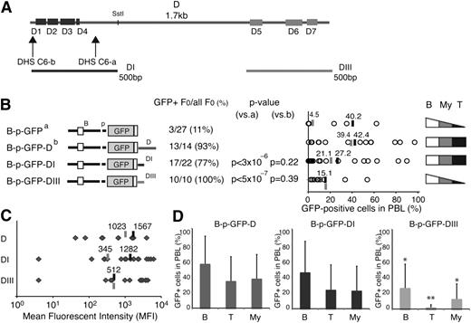 Figure 5. T cell–specific cis-acting elements in enhancer D. (A) Areas of sequence conservation (D1-D7) within the 1.7-kb enhancer D are shown as rectangles. Horizontal lines below the D region depict the two 500-bp DI and DIII subregions used in transgenic reporters. (B) Comparison of reporter expression between the B-p-GFP-DI, B-p-GFP-DIII, B-p-GFP, and B-p-GFP-D founder lines. The reporter constructs used to generate these founder lines are depicted on the left. The number of GFP-expressing founders is displayed over the total number of founders generated. The statistical significance of the difference (increase or decrease) in the proportion of GFP-expressing founder compared with the parental B-p-GFP line (a) or B-p-GFP-D (b) was provided by χ2 analysis and is shown as a P value. The percentage of GFP-positive PBLs is depicted for each founder line (circle). The average percentage of GFP+ PBLs for each transgenic reporter was calculated for either all GFP-expressing founders (black bar) or all founders (gray bar). The cell type specificity of each reporter is depicted on the right. (C) The MFI of GFP+ PBLs from B-p-GFP-D, B-p-GFP-D-I, and B-p-GFP-D-III transgenic lines was calculated for each founder (gray diamonds). Gray lines indicate the average MFI among all founders, and black lines denote the average MFI among the GFP-expressing founders. (D) Lineage-specific GFP expression in the PBLs from B-p-GFP-D, B-p-GFP-DI, and B-p-GFP-DIII founders. The average percentage of GFP+ cells within peripheral blood B cells (B), T cells (T), and myeloid cells (My) is shown. The significance in the difference of expression among GFP reporters was assessed by Student t test; *P < 5 × 10−2; **P < 5 × 10−3. Error bars (standard deviation) indicate variegation of GFP expression among the different founder lines made by each enhancer-based reporter.