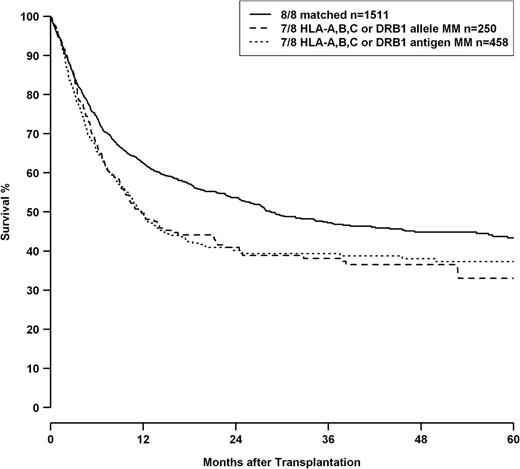 Figure 1. OS of patients with 8/8 matched donors (solid line), patients with single allele mismatched donors at loci HLA-A, -B, -C, or -DRB1 (dashed line), and single antigen mismatched donors at loci HLA-A, -B, -C, or -DRB1 (dotted line). HLA-DQB1 status was omitted from this analysis because multivariate modeling indicated a possible differential impact of HLA-DQB1 allele and antigen mismatches. Comparison single allele vs single antigen mismatch, P = .924; comparison 8/8 matched vs 7/8 matched log-rank, P < .001.