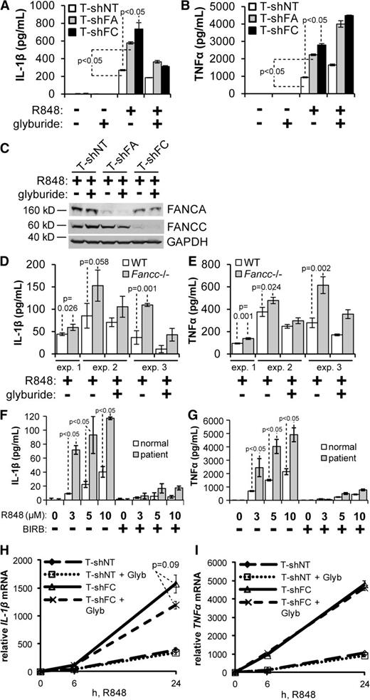 Figure 1. TLR-induced overproduction of IL-1β by FANCA- and FANCC-deficient cells. (A-C) THP-1 cells expressing shRNA directed against FANCA (T-shFA), FANCC (T-shFC), or a nontargeted shRNA (T-shNT) were plated at a concentration of 106 per mL, pretreated with glyburide (50 μM) for 2 hours, and stimulated with R848 (30 μM) for 24 hours. Secreted IL-1β (A) and TNF-α (B) were measured in the conditioned media by ELISA. One representative experiment of 3 is shown. Each consisted of 3 technical replicates for each condition. (C) Western blotting of indicated proteins from whole cell extracts of the same cells was performed, and molecular weight markers are indicated. (D-E) Wild-type and Fancc−/− BMDMs were plated at a concentration of 50 000 per mL, pretreated with glyburide (50 μM) for 2 hours, and stimulated with R848 (3 μM) for 24 hours. Secreted IL-1β (D) and TNF-α (E) were measured in the culture media by ELISA. The results of 3 independent experiments, each of which consisted of 3 biological replicates for each condition, are shown. Each experiment contains pooled cells from 2 wild-type mice and 2 Fancc−/− mice. (F-G) CD14+ cells from an FA complementation group A patient and an age-matched healthy donor were isolated from peripheral blood mononuclear cells using magnetic microbeads. Cells were plated at a concentration of 50 000 per mL, pretreated with BIRB 796 (500 nM) for 6 hours, and stimulated with the indicated doses of R848 for 24 hours. Secreted IL-1β (F) and TNF-α (G) were measured in the conditioned media by ELISA. One experiment with 3 biological replicates for each condition is shown. (H-I) T-shNT and T-shFC cells were plated at a concentration of 106 per mL, pretreated with glyburide (Glyb; 50 μM) for 2 hours, and stimulated with R848 (30 μM). Total RNA was isolated at 0, 6, and 24 hours after R848 treatment, and IL-1β (H) and TNF-α (I) mRNA were measured using real-time qRT-PCR and normalized to levels of 18S rRNA. One experiment with 3 technical replicates for each condition is shown. P values were calculated using a paired Student t test.