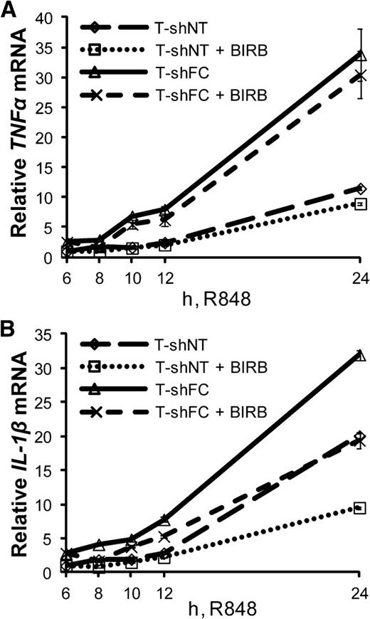 Figure 5. TLR-induced IL-1β mRNA expression is controlled by a p38-dependent pathway. T-shNT and T-shFC cells were treated with R848 (30 μM), and 6 hours later, BIRB (50 nM) was added to the culture medium. Total RNA was isolated at 6, 8, 10, 12, and 24 hours after R848 treatment. TNF-α (A) and IL-1β (B) mRNA were measured using real-time qRT-PCR and normalized to levels of 18S rRNA. Shown are the changes in expression of TNF-α (A) and IL-1β (B) mRNA with respect to the expression levels 6 hours after R848 was added, normalized to T-shNT in the absence of BIRB. Two experiments were carried out using 3 technical replicates for each condition and yielded similar results. One representative experiment is shown.