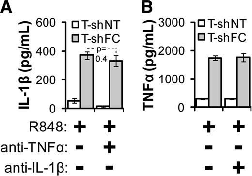 Figure 6. TLR-induced production of IL-1β and TNF-α is not interdependent. T-shNT and T-shFC cells were plated at a concentration of 106 per mL. Isotype control antibodies or neutralizing antibodies against TNF-α (A) or IL-1β (B) were added to the culture medium at a concentration of 1 µg/mL, and cells were stimulated with R848 (30 μM) for 24 hours. Secreted IL-1β (A) or TNF-α (B) was measured in the conditioned media by ELISA. P values were calculated using a paired Student t test. Two experiments used 3 biological replicates for each condition, and both showed similar results. One experiment is shown.
