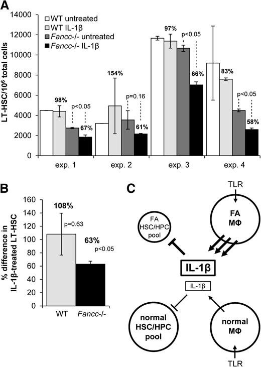 Figure 7. Fancc-deficient hematopoietic progenitors are hypersensitive to IL-1β. (A) Wild-type or Fancc−/− KLS cells were isolated and, based on percent of the KLS cells also bearing the CD34–Flt3– signature (LT-HSCs), were plated at 1000 LT-HSCs per well in 500 µL RPMI/10% FBS containing IL-6, IL-11, SCF, and FLT3L. Cells were treated with murine IL-1β (30 pg/mL) or medium alone for 7 days. Total cells and LT-HSCs were then counted using flow cytometry. Shown is the mean number of LT-HSCs per 106 total cells in each set of duplicate wells after 7 days. The percent difference in the LT-HSC population in IL-1β–treated cells compared with untreated cells is indicated above each bar that represents the number of LT-HSCs observed after IL-1β treatment. The results of 4 independent experiments are shown. (B) Data from these 4 experiments were pooled and expressed as the percent difference in the LT-HSC population in IL-1β-treated cells compared with untreated cells. (C) A model of the proposed IL-1β–mediated autoinhibitory loop is shown. The FA mononuclear phagocyte (MΦ) pool overproduces IL-1β in response to TLR stimulation, and the FA hematopoietic stem and progenitor cell (HSC/HPC) pool fails to sustain self-replicative activity and therefore contracts as a result of intrinsic IL-1β hypersensitivity. TLR-stimulated normal mononuclear phagocytes produce normal levels of IL-1β, and the normal HSC/HPCs are more tolerant of IL-1β.