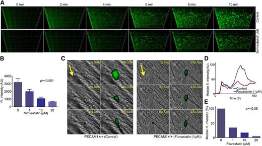 Figure 2. Statins have antithrombotic actions. Human whole blood labeled with the lipophilic dye 3,3′-dihexyloxacarbocyanine iodide was treated with increasing concentrations of simvastatin (1-20 μM) or vehicle for 5 minutes and perfused through collagen-coated (400 μg mL−1) Vena8 Biochips at a shear rate of 20 dyne/cm2. Thrombi were recorded over a 10-minute period through a series of images in the Z-plane through their full depth using a Nikon Eclipse (TE2000-U) microscope, and thrombus fluorescence intensity was calculated using Slidebook, Version 5 (A). Numerical data represent sum fluorescence intensities, mean ± SD of 4 separate experiments (n = 4), P < .001 (nonparametric Kruskal-Wallis global) (B). In vivo thrombosis was assayed using a laser injury model by intravital microscopy. Fluvastatin (1-20 μM) or vehicle was administered intravenously to mice, and platelets were fluorescently labeled by injection of Alexa 488–conjugated anti-GPIb antibody. After laser-induced injury of the cremaster muscle arterioles, accumulation of platelets was assessed. Representative images of thrombi obtained from mice treated with or without fluvastatin (1 μM) at different time intervals are shown. Arrows indicate the direction of the blood flow (C). Median fluorescence intensity was measured from 21 thrombi from 4 mice from each of control and fluvastatin (1-20 μM)–treated groups (D-E). P values calculated by nonparametric Mann-Whitney test (P < .05).