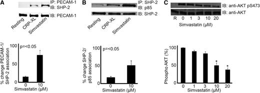 Figure 4. Statins modulate PECAM-1 signaling. Platelet cell lysates were immunoprecipitated for PECAM-1 or SHP-2 and immunoblotted using anti–SHP-2 and anti-p85 antibodies, respectively. Blots are representative of 3 separate experiments and quantification normalized to loading control. Numerical data represent the percentage of change of PECAM-1/SHP-2 and SHP-2/p85 association (A-B). Phosphatidylinositol 3-kinase signaling was measured through assessment of Akt phosphorylation. Platelets stimulate with CRP-XL (1 μg mL−1) in the presence of increasing concentrations of simvastatin (1-20 μM) were analyzed by immunoblotting with an Akt/PKB phospho-specific antibody (Ser473). Equivalent protein loading was verified by reprobing for total Akt (C), t test, *P ≤ .05.