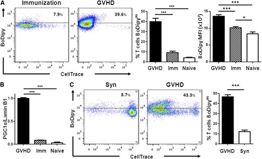 Figure 5. Teff increase FA metabolism during GVHD but not following cellular immunization. (A) FA transport was measured in OT-I cells from naïve donors or in OT-I cells 7 days after either CAG.OVA dendritic cell immunization (Imm) or transplantation into irradiated CAG.OVA mice (GVHD), n = 4 mice/bar. (B) OT-I T cell lysates (following flow-sorting) were probed for PGC-1α levels by western blot as in Figure 2E. (C) B6 Ly5.2 (CD45.1+) splenocytes were labeled with CellTrace violet and transferred to nonirradiated B6D2F1 animals (GVHD) as described in “Methods.” On day 7, donor T cells were recovered and measured for BoDipyC1-C12 uptake. B6 Ly5.2 T cells transferred to nonirradiated C57Bl/6 animals served as controls (Syn). Bar graphs represent 4 to 5 mice/group. ***P < .007.