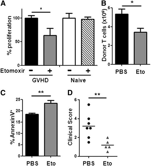 Figure 6. Blockade of FA oxidation preferentially targets well-divided, allogeneic T cells. (A) T cells were purified by magnetic separation and cultured ex vivo with B6D2F1 splenocytes with or without etomoxir as detailed in Methods. (B) Mice received a single dose of etomoxir on day 7 and total donor T-cell numbers were measured 16 hours later. (C) AnnexinV staining of donor T cells 16 hours after etomoxir treatment. (D) C57Bl/6 recipient mice were transplanted with BM and T cells from C3H.SW donor mice as detailed in “Methods.” Beginning on day +5, recipient mice received either PBS (black circles) or etomoxir (gray triangles) every other day for a total of 2 weeks. Clinical scores, as described previously,17 were measured on day 29, 10 days after the discontinuation of etomoxir. The mean clinical score is represented by a solid black line. *P = .02, **P < .01.