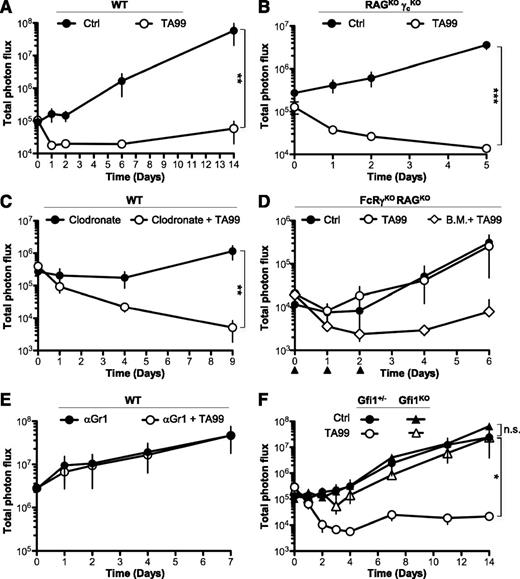 Figure 1. Neutrophils are required for anti-gp75 mAb therapy of melanoma. (A-F) Indicated mice were injected subcutaneously with 5 × 104 B16-luc2 cells at day 0, intravenously with 200 μg of mAb TA99 or isotype Ctrl on days 0, 1, and 2, and intraperitoneally with d-luciferin immediately before total photon flux acquisition (photons per second). Indicated mice were also injected on days −1, 1, 3, 5, and 7 with (C) 200 μg/mouse clodronate-containing liposomes (Clodronate) or (E) 300 μg/mouse anti-Gr1 mAbs, or (D) on days 0, 1, and 2 with 2 × 106 WT B.M. cells (▲). (A-F) Data are represented as mean ± SEM (n.s.: P > .05; *P < .05; **P < .01; ***P < .001) and are representative of at least 2 independent experiments (n ≥ 4). B.M., bone marrow; Ctrl, control; KO, knockout; n.s., not significant; WT, wild type.