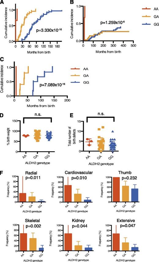 Figure 1. Effects of the ALDH2 deficiency on Japanese FA patients. (A-B) Cumulative incidence of BMF (A) or MDS/AML (B) were analyzed in 64 FA subjects. Numbers of AA, GA, and GG patients were 3, 25, and 36, respectively. (C) Cumulative incidence of BMF was analyzed in patients with confirmed biallelic FANCA mutations having protein truncations and/or large deletions (n = 12). Numbers of AA, GA, and GG patients were 1, 5, and 6, respectively. P values shown were calculated by the Gray test. In panel A, P values between genotypes were 8.625 × 10−7 (GG vs GA), 2.107 × 10−10 (GG vs AA), 1.259 × 10−6 (GA vs AA), respectively. In (B), the difference between GG and GA subjects was not significant (P = .4564479), whereas other statistical comparisons were highly significant (GG vs AA, 2.911 × 10−10; GA vs AA, 8.813 × 10−8). In panel C, the P values between GG and GA, GG and AA, or GA and AA were calculated as 0.001228433, 0.01430588, 0.02534732, respectively. (D) Percentage of birth weight or (E) total number of physical abnormalities (shown in supplemental Table 1) in 64 FA patients with 3 ALDH2 genotypes. Birth weight was normalized to mean weight at gestational age in Japan. Mean and SEM are indicated. Birth weight records were missing for 3 patients (supplemental Table 1). There was no significant difference between the ALDH2 genotypes (Kruskal-Wallis test). (F) Frequency (percentage) of cardiovascular, radial, thumb, skeletal, kidney, and extensive malformations in each ALDH2 genotype. P values were calculated by the Cochran-Armitage test for trend, which detects statistical significance of effects across the genotypes. The error bars represent 95% confidence intervals.