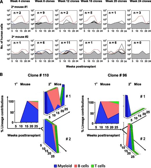 Figure 4. Changes throughout time in the lineage content of clones regenerated in secondary mice. (A) Changes through time in the total size of each barcoded (GFP+) clone detected in the 2 secondary mice. Clone #110 (red line) and clone #96 (blue line) are shown separately. Gray shaded region denotes the limit of detection by MPS. (B) Relative contributions of GM, B-, and T-cells to clones #110 and #96 over time in the secondary mice as compared with the primary mouse in which they were first seen.