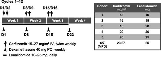 Figure 1. Treatment schema. Cycles 13 to 18 (maintenance) carfilzomib dosing modified to days 1, 2, 15, 16. In cohort 6/7, 20 mg/m2 was given on days 1 and 2 during cycle 1 and 27 mg/m2 was given thereafter. D, day; IV, intravenous; MPD, maximum planned dose; PO, orally.