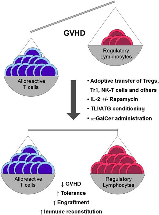 Figure 1. Different clinical approaches can be applied to impact the immunologic balance between alloreactive donor T cells and regulatory lymphocytes. α-GalCer, α-galactosylceramide; ATG, antithymocyte globulin; IL, interleukin; TLI, total lymphoid irradiation.