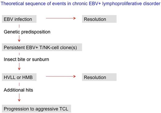 Sequential steps in the development of cutaneous EBV-positive lymphoproliferative disorder. HMB, hypersensitivity to mosquito bites; TCL, T-cell lymphoma.