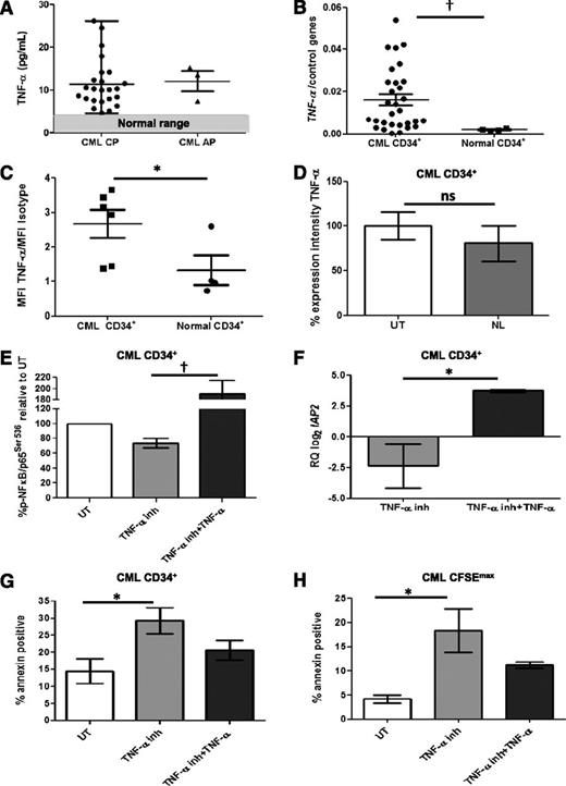 Figure 1. Autocrine TNF-α production in CML SPCs is BCR-ABL kinase-independent, induces NFκB/p65 activity, and promotes their survival. (A) TNF-α blood plasma levels were measured by enzyme-linked immunosorbent assay in CP (n = 24) and accelerated phase (AP) (n = 3) CML patients. Levels are expressed as picograms per milliliter. The range of TNF-α blood plasma levels in normal controls (n = 8) is shown in the shaded area. (B) TNF-α mRNA expression levels were measured by qRT-PCR and normalized to the control genes ATP5B, B2M, ENOX2, GUSB, TBP, and TYW1 mRNA expression levels in newly diagnosed CP CML (n = 30) and normal (n = 4) CD34+ cells. (C) TNF-α protein expression was measured by intracellular flow cytometry in CML (n = 6) and normal (n = 4) CD34+ cells and expressed as a ratio of the mean fluorescence intensity (MFI) of TNF-α antibody-stained cells over the MFI of cells stained with a matched isotype control. (D) CML CD34+ cells (n = 4) were either left untreated (UT) or treated with NL (5 µM) for 48 hours, and TNF-α protein expression was measured by intracellular flow cytometry, as explained in panel C. TNF-α expression levels in the NL-treated cells were expressed as a percentage of UT cells. (E) CML CD34+ cells (n = 3) were either left UT or treated with TNF-α inhibitor (TNF-α inh) (3 µM) or TNF-α inh (3 μM) + TNF-α (1 ng/mL). Levels of p-NFκB/p65Ser536 were measured by intracellular flow cytometry at 24 hours, as described in panel C, and expressed as a percentage of UT. (F) IAP2 gene expression levels were measured at 24 hours by qRT-PCR after treatment, as in panel E. Differences in gene expression levels after treatment were calculated using the 2−ΔΔCt method, after normalization within each sample of candidate gene expression levels against GAPDH and TBP expression levels. Relative quantification (RQ) of IAP2 mRNA expression after TNF-α inh treatment was then plotted as log2 of the 2−ΔΔCt values (with the UT cells having a value of 0 in the graph being the calibrator). (G) CML CD34+ cells (n = 5) were either left UT or treated with TNF-α inh (3 µM) or TNF-α inh (3 μM) + TNF-α (1 ng/mL) for 72 hours. Percentage of apoptotic cells was measured by annexin staining. (H) CML CD34+ cells (n = 3) were CFSE stained and then cultured as in panel G for 72 hours. Percentage of apoptotic cells within the undivided (CFSEmax) population was measured by gating on the population double-positive for maximal CFSE expression and annexin staining. All data from independent experiments are presented as mean ± standard error of the mean. *P < .05; †P < .01; ‡P < .001; ns, not significant.