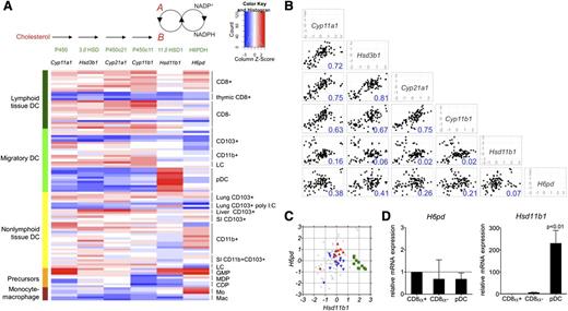 Figure 1. Gene expression of steroid biosynthetic enzymes in murine DCs and their progenitors. (A, top) Steroid biosynthetic pathway is shown for generation of corticosterone (“B”) from cholesterol or from 11-dehydrocorticosterone (“A”). Individual steps in biosynthesis are catalyzed by enzymes shown: P450, cholesterol side chain–cleaving enzyme; 3βHSD, 3β-hydroxysteroid dehydrogenase; P450c21, 21-hydroxylase; P450c11, 11β-hydroxylase; 11βHSD1; and H6PDH. (A, bottom) Heat map showing expression of corresponding genes (in order from top to bottom) from (1) lymphoid tissue DCs: CD8α+CD11b– DCs derived from spleen and lymph nodes, thymic CD8α+ DCs, and CD8α–CD11b+ DCs derived from spleen and lymph nodes; (2) migratory DCs: CD103+CD11b–, CD103–CD11b+, Langerhans cells (LCs) from draining lymph nodes, and pDCs from spleen and lymph nodes; (3) nonlymphoid tissue DCs: lung CD103+CD11b– DCs with or without prior polyinosinic:polycytidylic acid (poly I:C) treatment in vivo; liver and small intestinal (SI) CD103+CD11b– DCs; lung, liver, SI, and kidney CD103–CD11b+ DCs; SI CD103+CD11b+ DCs; and LCs within epidermis; (4) myeloid progenitors: GMP, granulocyte-macrophage progenitor; MDP, macrophage-dendritic cell progenitor; and CDP, common dendritic cell progenitor; and (5) monocytes (Mo) and macrophages (Mac). Methods and selection markers used to isolate individual subsets are available from the Immunological Gene Project.24 (B) Scatter plots showing gene expression (mean centered log2 expression units) in relation to the mean of the whole data set for individual steroid biosynthetic genes. Values in bottom right corner of each plot show the coefficient of determination (R2) for each x-y comparison. (C) Graph showing mean centered relative expression of H6pd and Hsd11b1 in whole data set (light gray), with expressions highlighted in color for pDC (green squares), CD8α+ DC (red upward triangles) and CD8α– DC (blue downward triangles) subsets. (D) Graphs showing H6pd and Hsd11b1 messenger RNA (mRNA) expression as evaluated by quantitative reverse-transcription polymerase chain reaction in CD8α– DCs (n = 3 to 4) and pDCs (n = 3 to 6), relative to CD8α+ DCs (n = 3 to 4). P value represents comparison of pDCs to each of the other subsets.