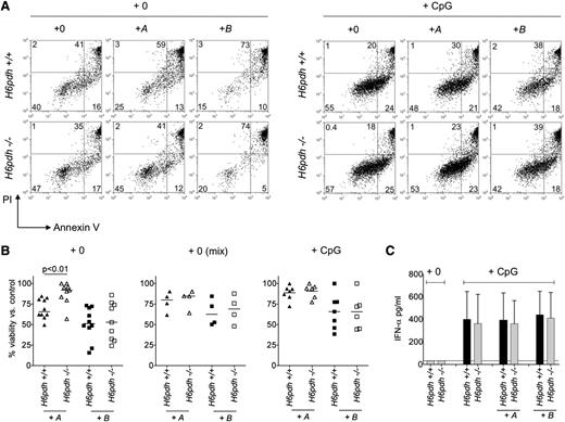Figure 3. Prereceptor amplification of corticosterone increases apoptosis of pDCs. (A) H6pdh+/+ and H6pdh−/− pDCs were cultured overnight in normal media alone (+0) or in the presence of 10−7 M 11-dehydrocorticosterone (+A) or 10−7 M corticosterone (+B) ± CpG 2216 at 2 µM before evaluation of cell viability by Annexin V and propidium iodide (PI) staining. (A) Representative flow cytometric plots showing Annexin V and PI staining (± CpG 2216). (B) Summary data showing viability of H6pdh+/+ and H6pdh−/− pDCs as a percentage of control cultures without addition of A or B or CpG. (Left) pDC viability in the presence of A or B in the absence of CpG. (Middle) Viability of H6pdh−/− (CD45.2) and H6pdh+/+ (CD45.1) pDCs when cultured together at a 1:1 ratio in the presence of A or B but in the absence of CpG. (Right) pDC viability in the presence of CpG and either A or B. Data derived from 2 to 3 independent experiments. (C) Mean ± SD IFN-α levels detected in culture supernatants of H6pdh−/− or H6pdh+/+ littermate-derived pDCs following 18 hours of exposure to nil or to CpG 2216 in the presence or absence of 10−7 M A or 10−7 M B. Data derived from 3 independent experiments (n = 3 per group).